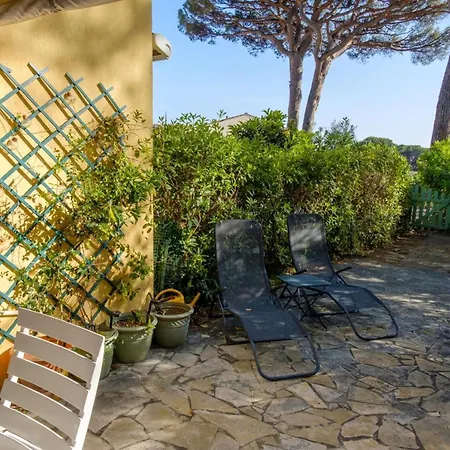 Facing The Port 50m From The